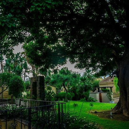 Villa Medina Чефалу Екстер'єр фото